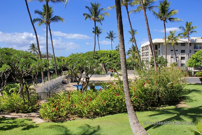 Lovely garden views from the second floor of the D Building at Kihei Akahi